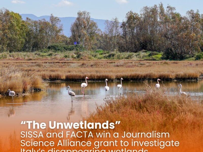 The Unwetlands